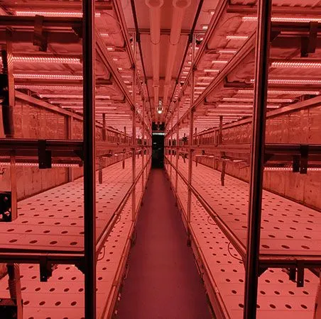 Invernaderos en Contenedores Hidropónicos para Agricultura Vertical