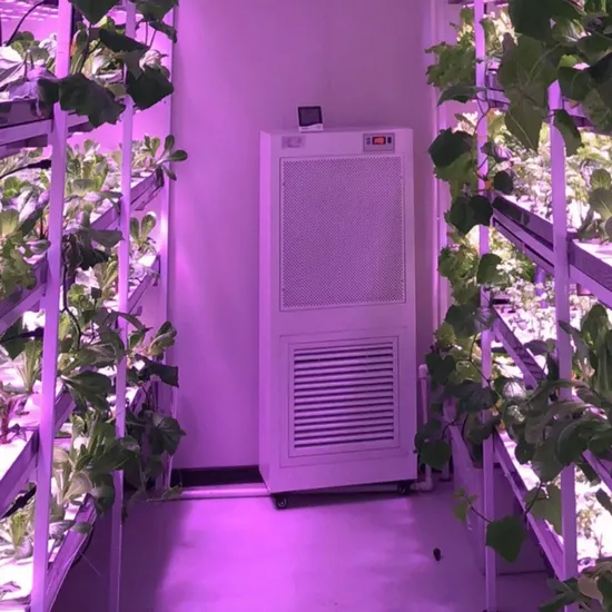 Hydroponic Shipping Container Greenhouse with LED System