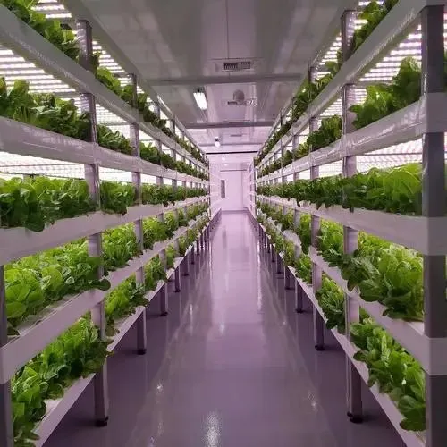 Invernaderos en Contenedores para Agricultura Vertical Hidropónica con Sistema LED