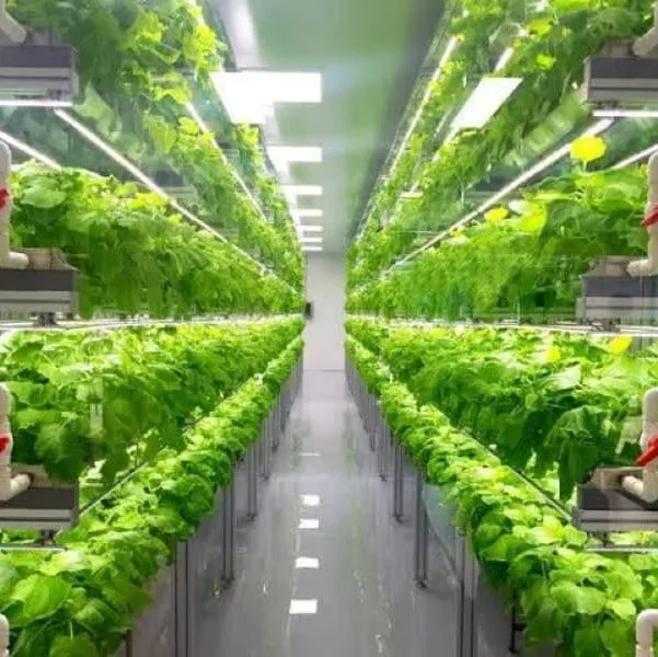 Invernaderos en Contenedores Hidropónicos para Agricultura Vertical