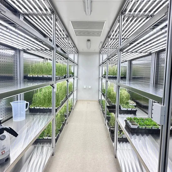 Smart Hydroponic Agricultural Container Greenhouse Farm