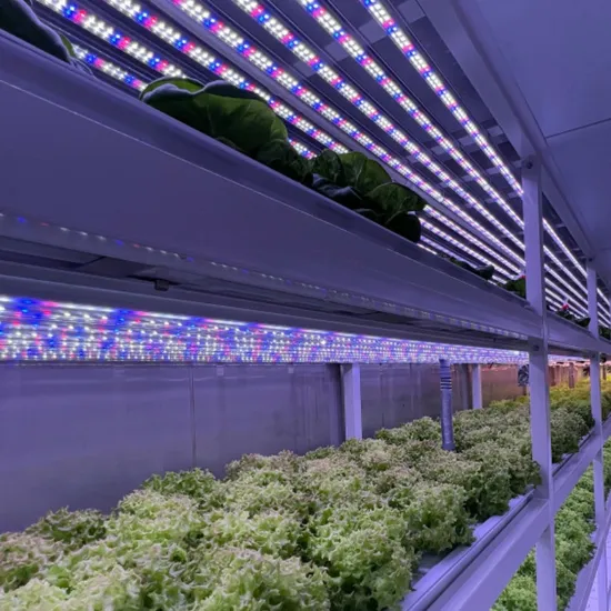 Vertical Farming Container Greenhouse Hydroponics System