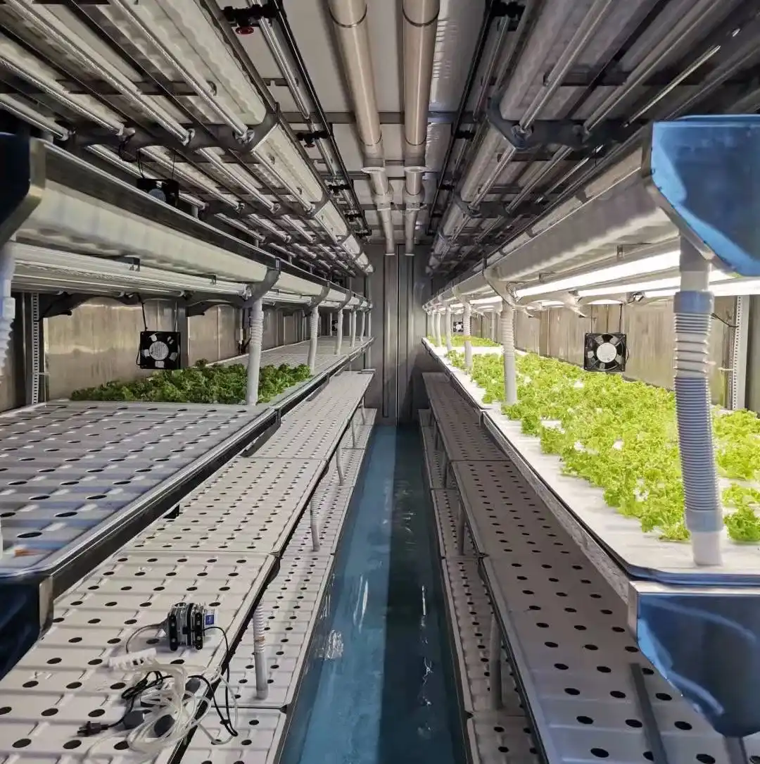 Invernaderos en Contenedores Hidropónicos para Agricultura Vertical