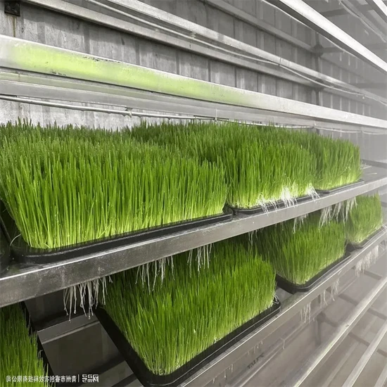 High Mobility Container Greenhouse for Vertical Planting