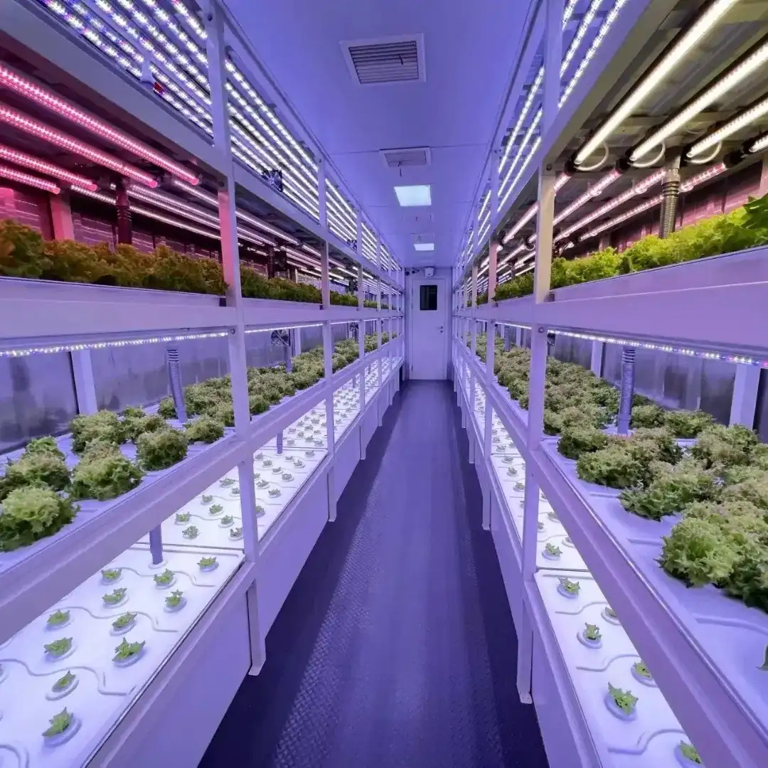Invernaderos en Contenedores para Agricultura Vertical Hidropónica con Sistema LED