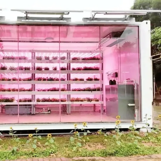 Hydroponic Shipping Container Greenhouse with LED System