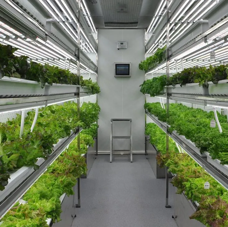 Invernaderos en Contenedores Hidropónicos para Agricultura Vertical