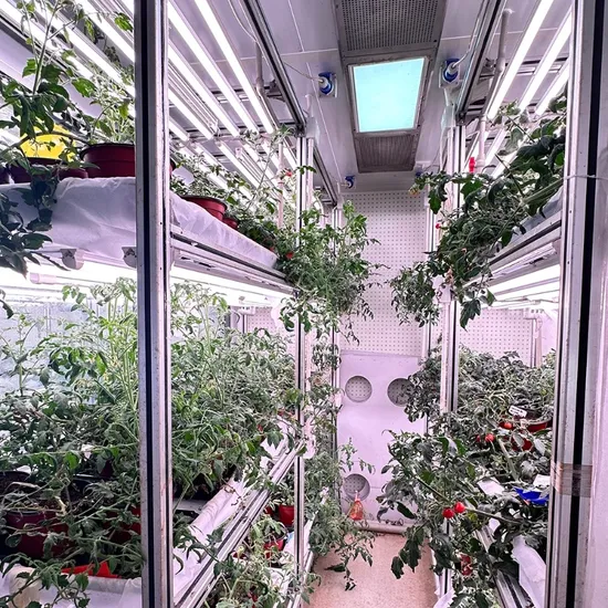 Smart Hydroponic Agricultural Container Greenhouse Farm